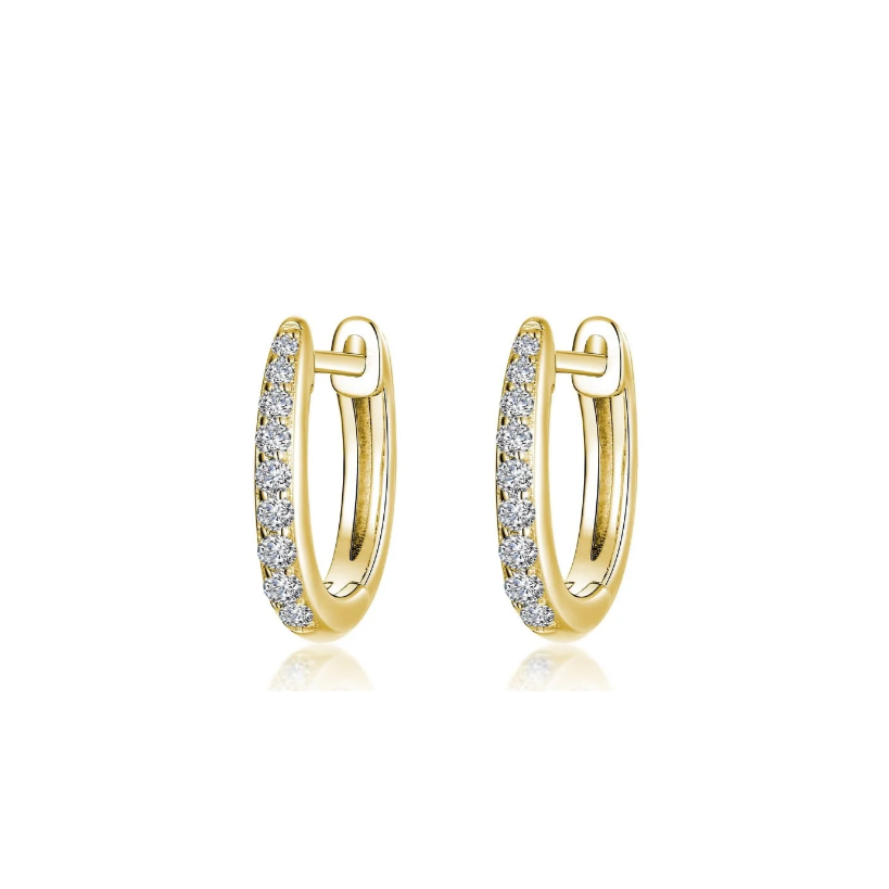 Dainty Huggie Gold Hoop Earrings