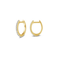 Oval Huggie Hoop Earrings