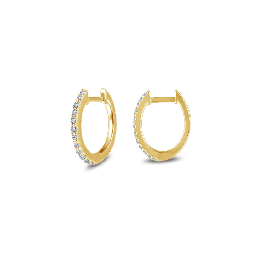 Oval Huggie Hoop Earrings
