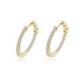20mm Hoop Earrings