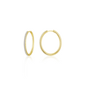 Large Alina Oval Gold Hoop Earrings