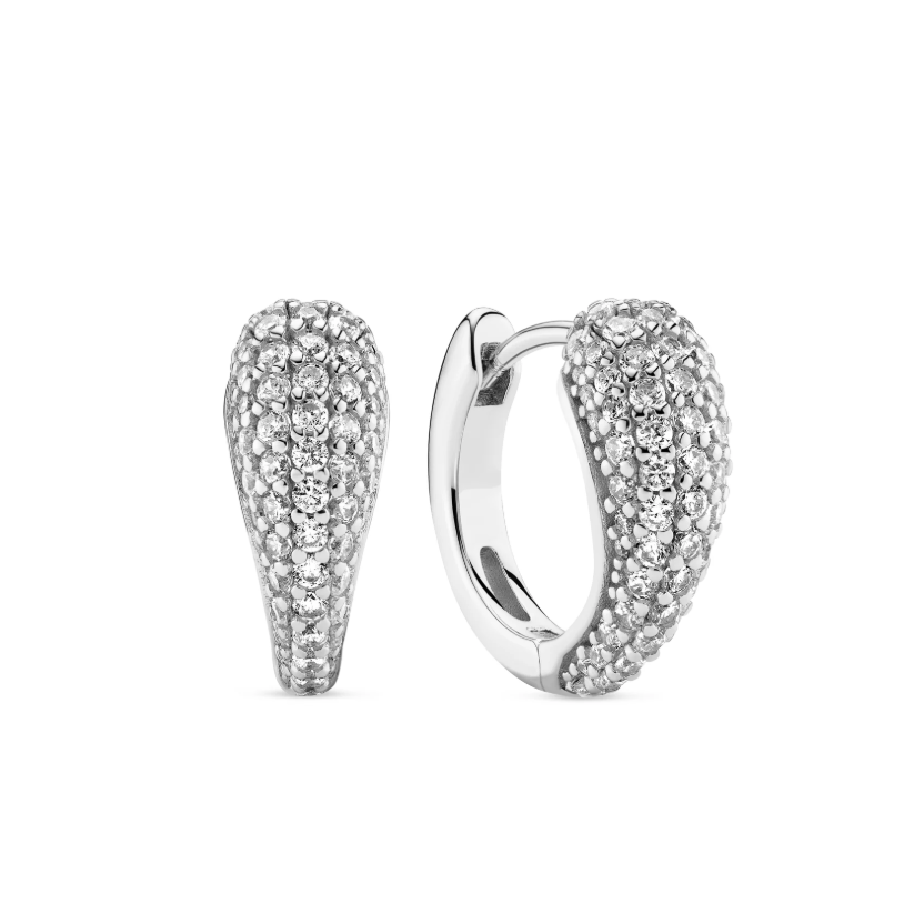 Silver CZ Goccia Circolo Earrings