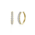 Gold Medium Willow Hoop Earrings