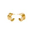 Gold Havana Double Hoop Earrings
