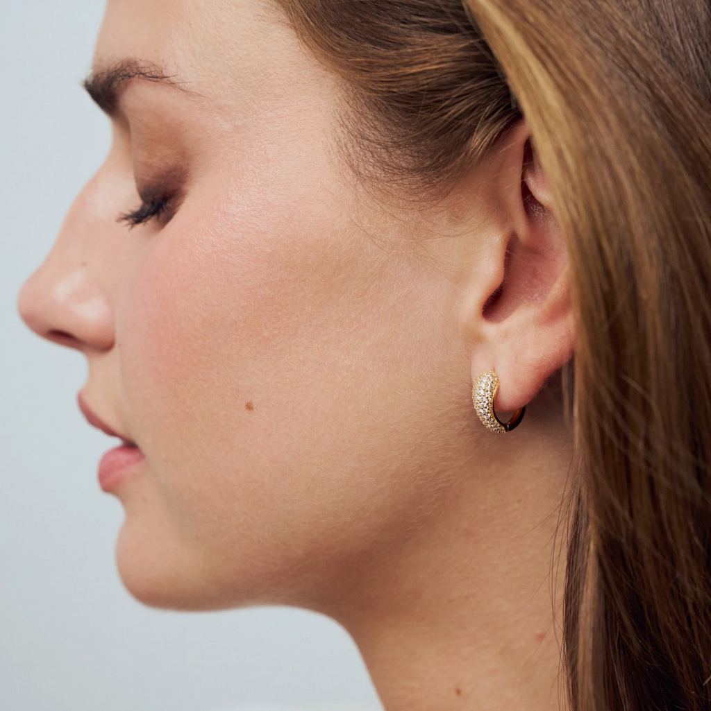 Gold CZ Goccia Circolo Earrings