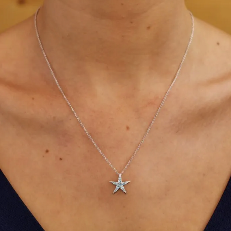 Ocean SS Small Aqua SW Crystal Star Fish Necklace