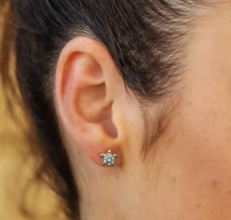 Ocean SS Stud Turtle Aqua Crystal Earrings