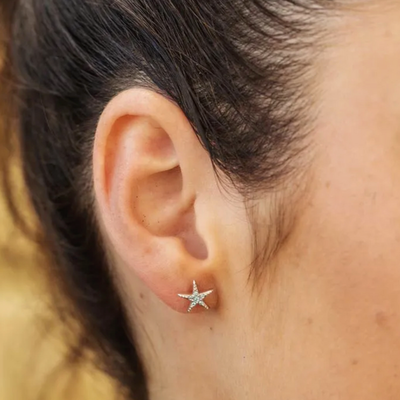 Ocean SS Stud Star Fish Aqua Crystal Earrings