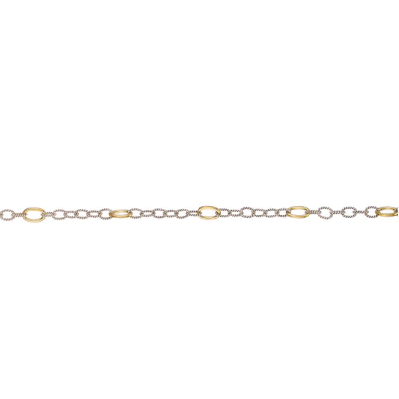 20in Twisted Link with Brass Rings Chain - Silver/Brass